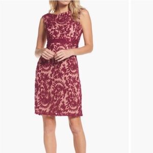Women’s Size 12 Lace Elegant Dress Sheath Midi Princess Fit Adrianna Papell